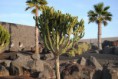 /album/rubicon-/dsc-0008-jpg4/